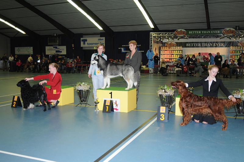 kerstshow 2008 043.jpg